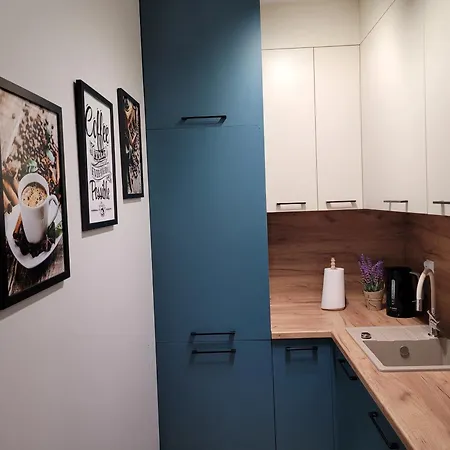 Z Basenem I Jacuzzi Karmelowy Na Dolnej Park A13, Ul Dolna 7a Apartment