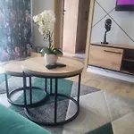 Apartment Z Basenem I Jacuzzi Karmelowy Na Dolnej Park A13, Ul Dolna 7a Szklarska Poreba