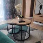 Z Basenem I Jacuzzi Karmelowy Na Dolnej Park A13, Ul Dolna 7a Apartment