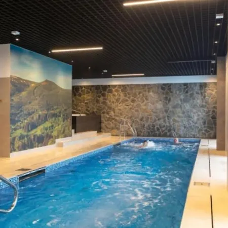 Z Basenem I Jacuzzi Karmelowy Na Dolnej Park A13, Ul Dolna 7a 아파트 *