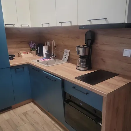 아파트 Z Basenem I Jacuzzi Karmelowy Na Dolnej Park A13, Ul Dolna 7a