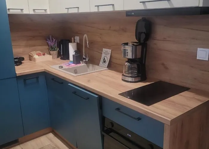 Z Basenem I Jacuzzi Karmelowy Na Dolnej Park A13, Ul Dolna 7a * Szklarska Poręba